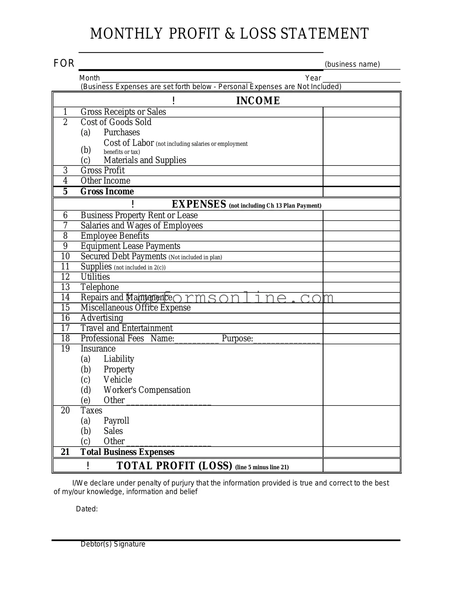 Fill Out a Valid Profit And Loss Form