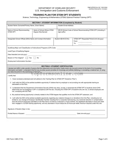 Fill Out a Valid ICE I-983 Form