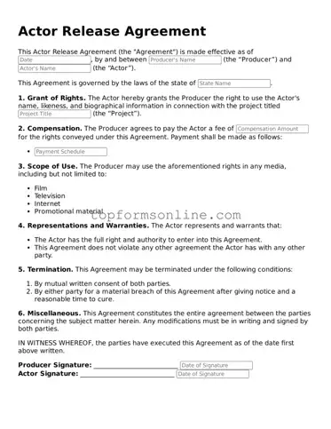 Valid Actor Release Template